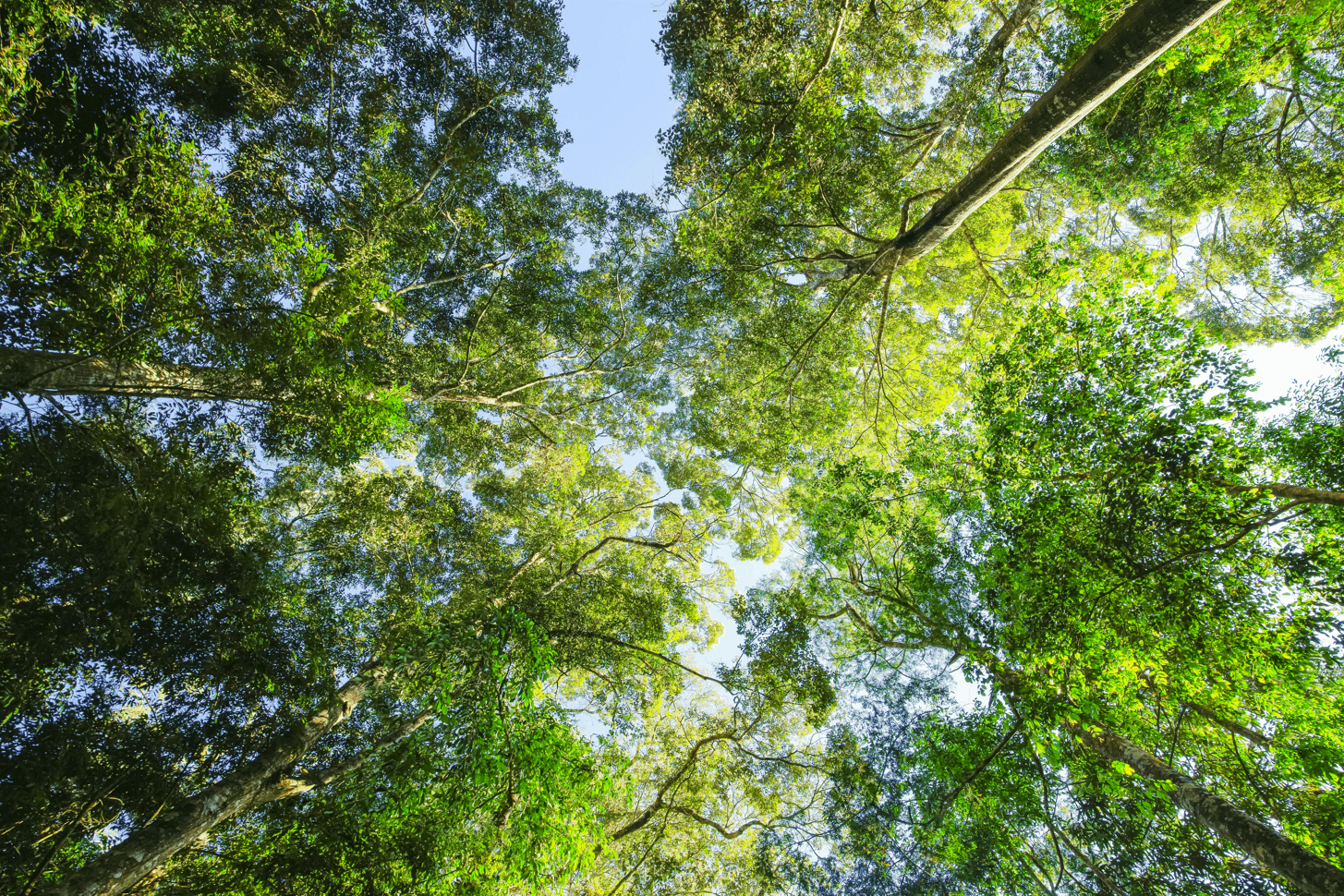 Sub pages hero image