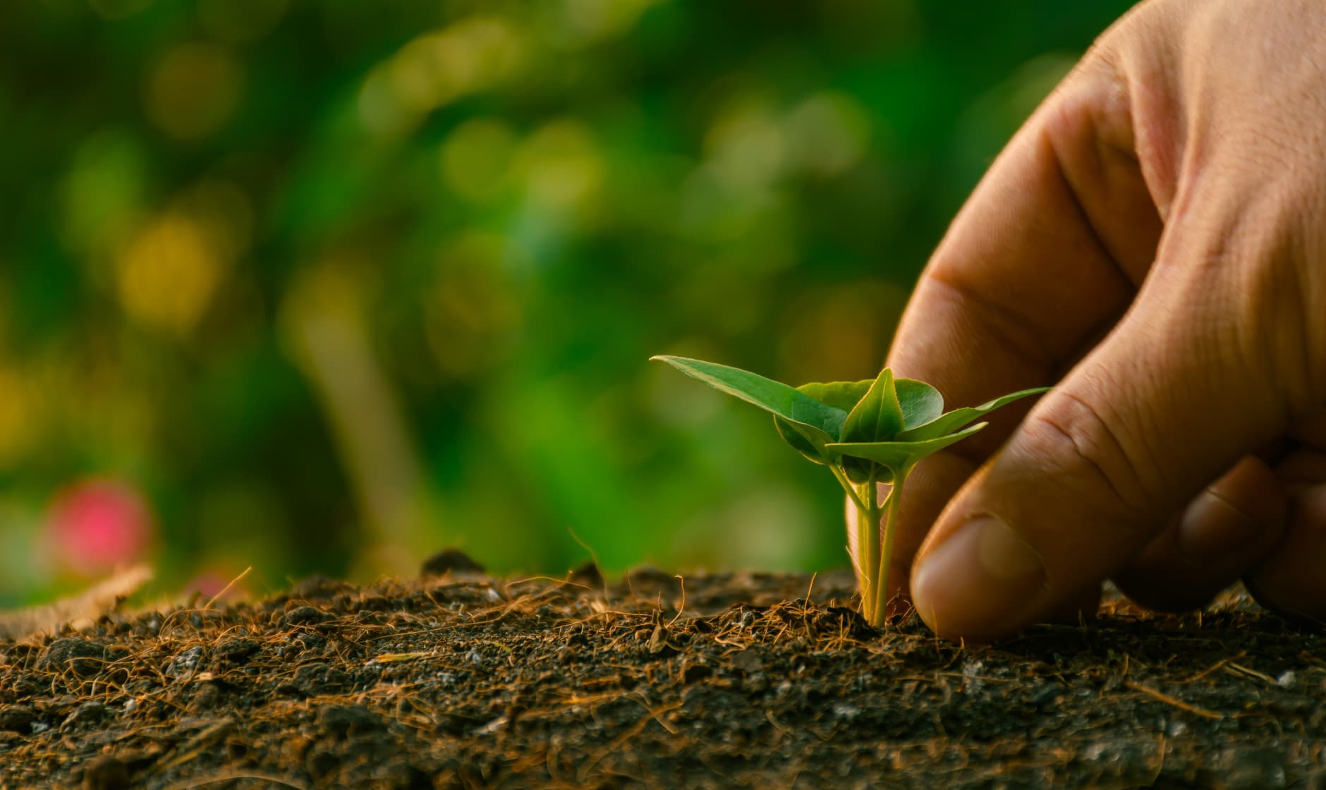 que hacemos background