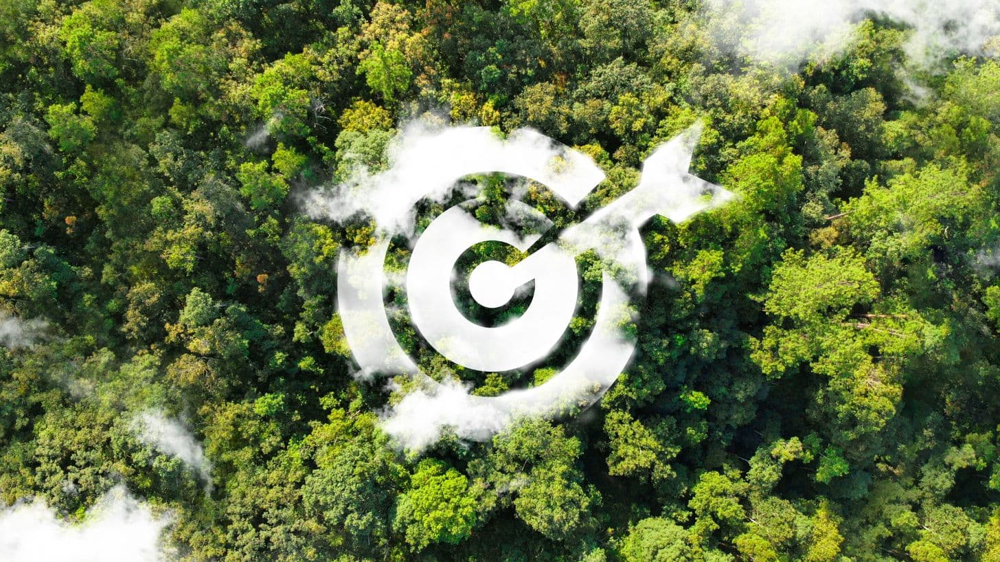 Declaración Ambiental