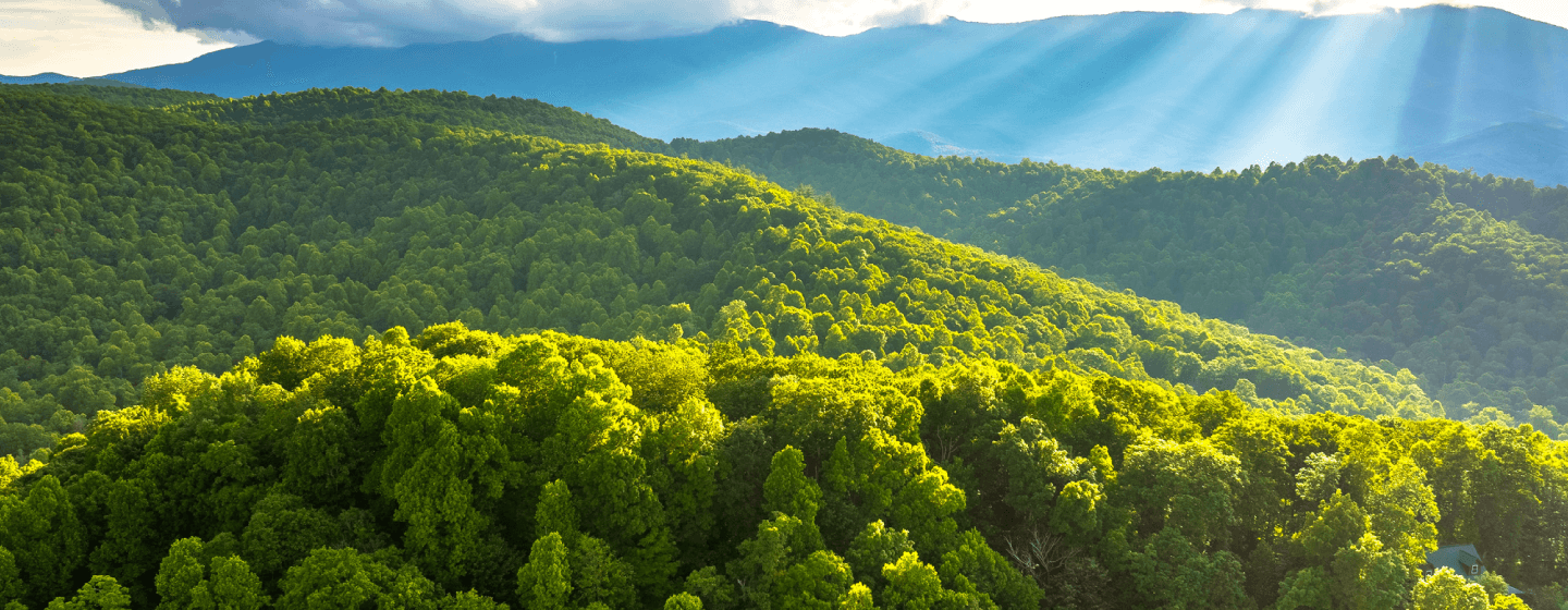 Sub pages hero image